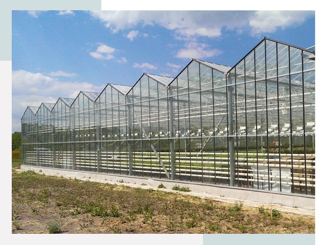 Строительство теплиц в Губкин от 609 руб. за м²