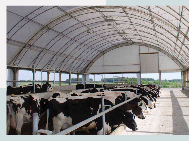 Тентовые коровники в Губкине